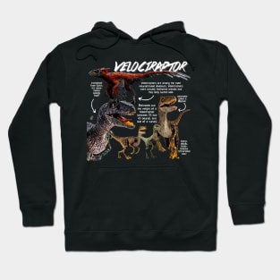 Velociraptor Fun Facts Hoodie